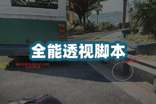 全能透视脚本